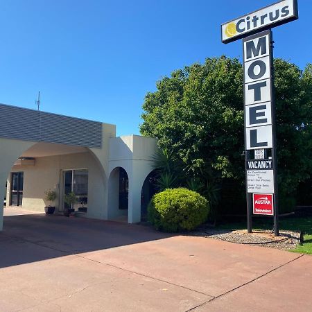 גריפית' Citrus Motel מראה חיצוני תמונה