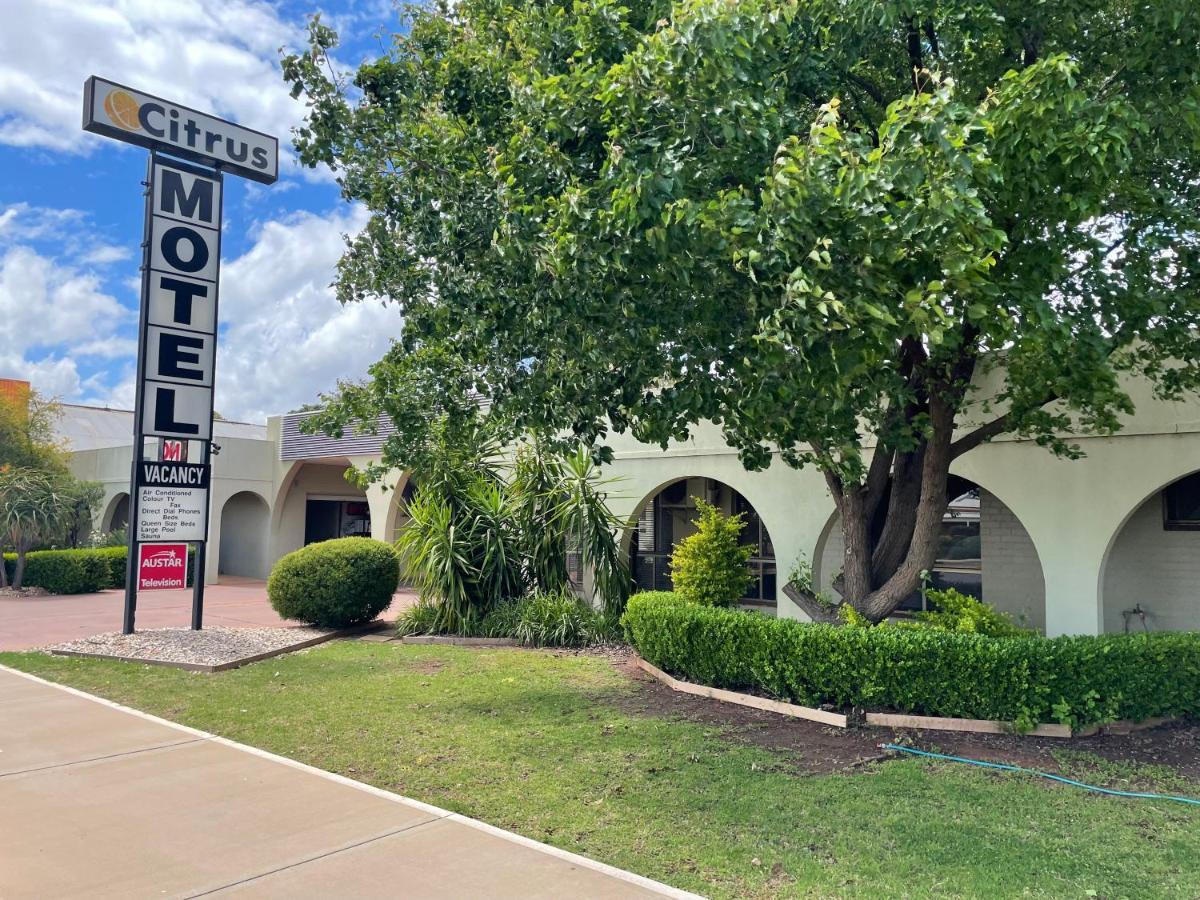 גריפית' Citrus Motel מראה חיצוני תמונה